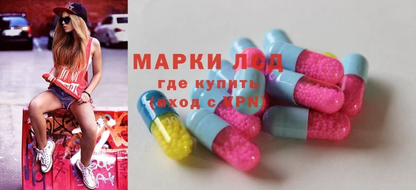спиды Аркадак