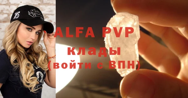 спиды Аркадак