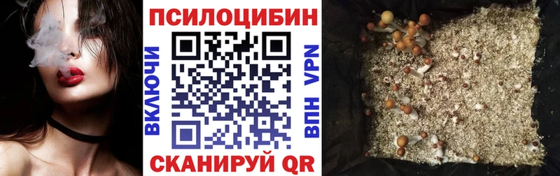 Псилоцибиновые грибы прущие грибы Урень